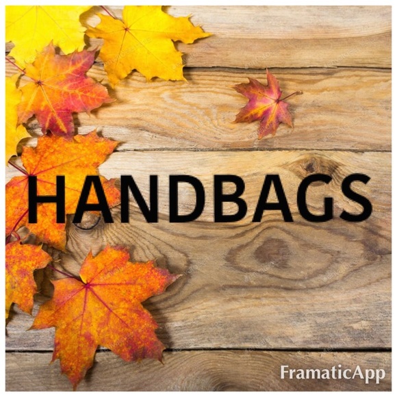 Handbags - Picture 2 of 16